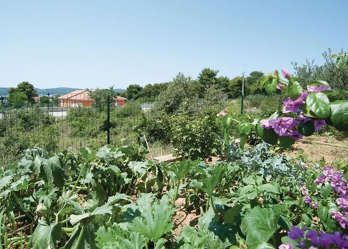 Three-bedroom In Biograd Opatijski Torovi